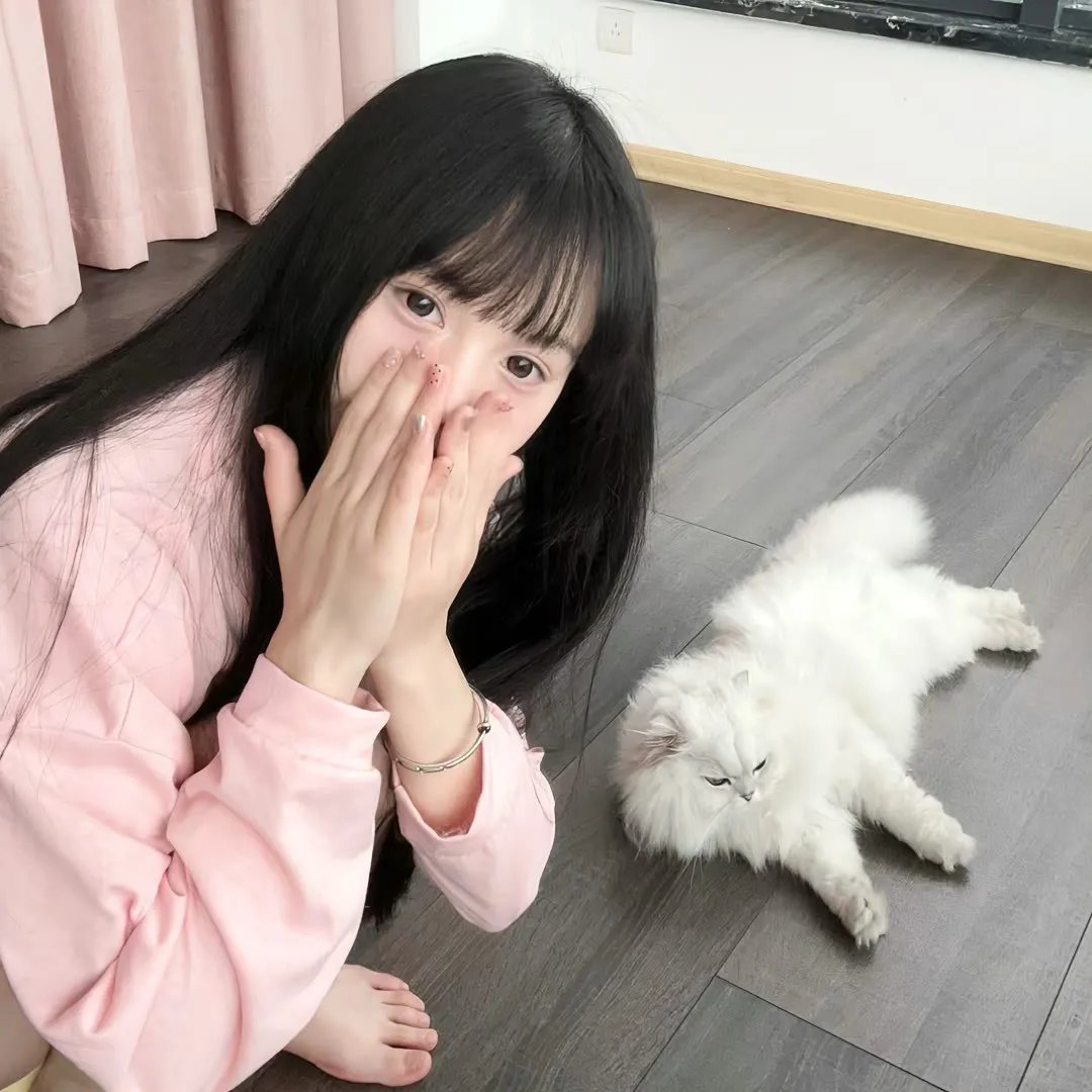 与狼共谋
